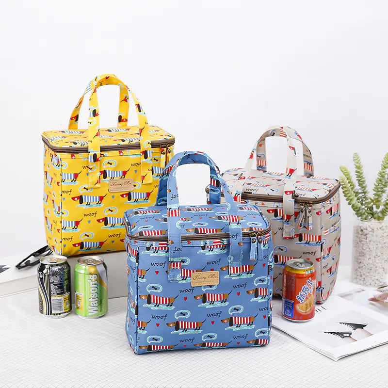 Chic Insulated Picnic Lunch Bag