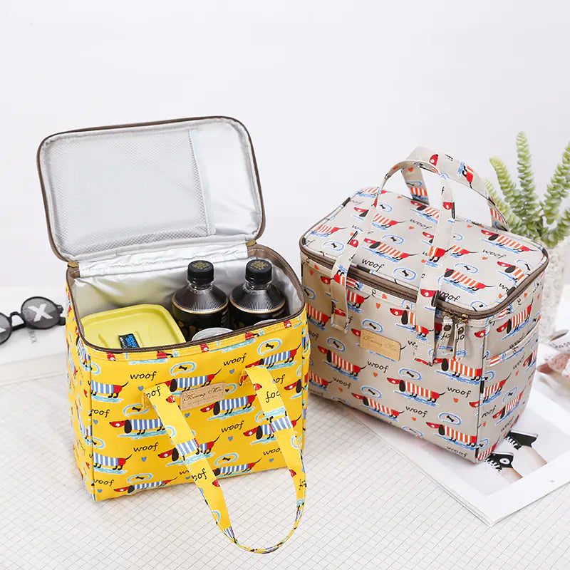 Chic Insulated Picnic Lunch Bag