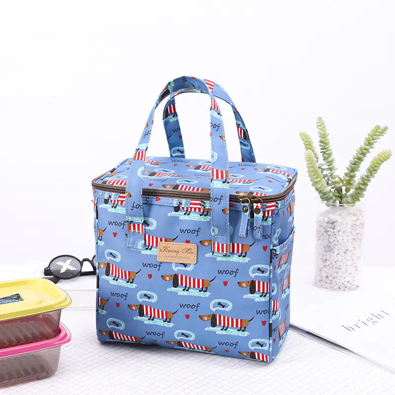 Chic Insulated Picnic Lunch Bag