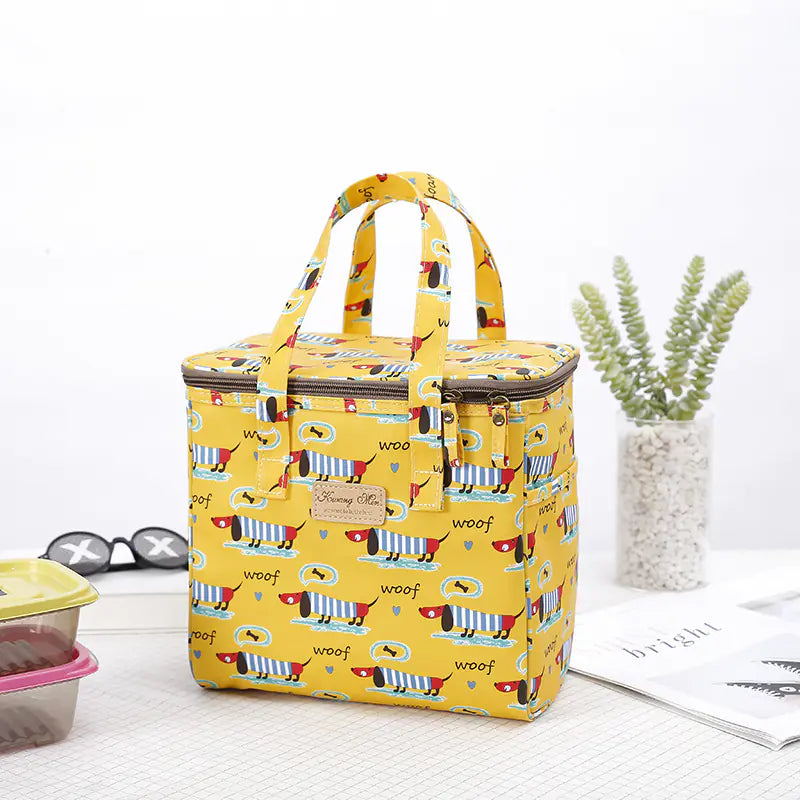 Chic Insulated Picnic Lunch Bag