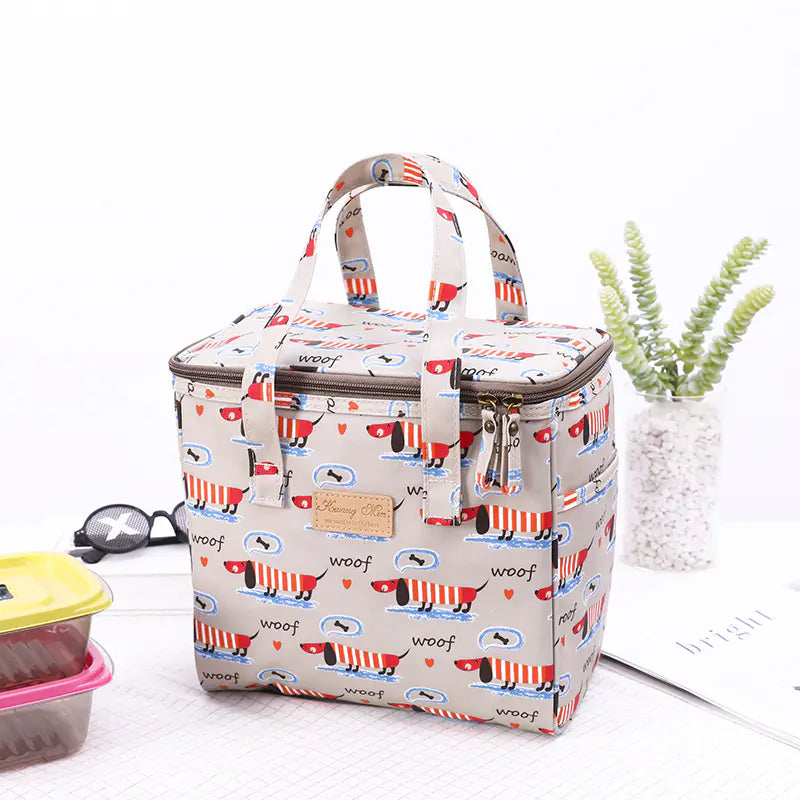 Chic Insulated Picnic Lunch Bag